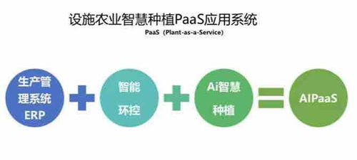 AI賦能農(nóng)業(yè) 回源數(shù)據(jù)采掘未來行 多驅(qū)整合異構(gòu) |